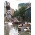 Help The Flood Victims (2)